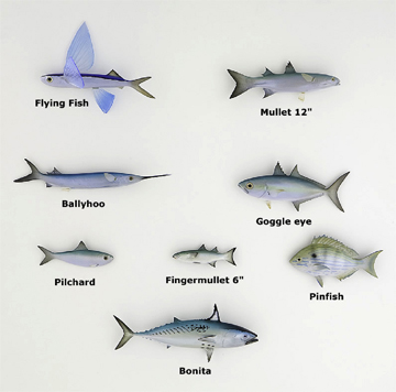 What is the best deep-sea fishing bait?