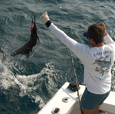 reef fishing aboard Therapy-IV