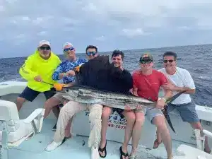 Miami Sailfish