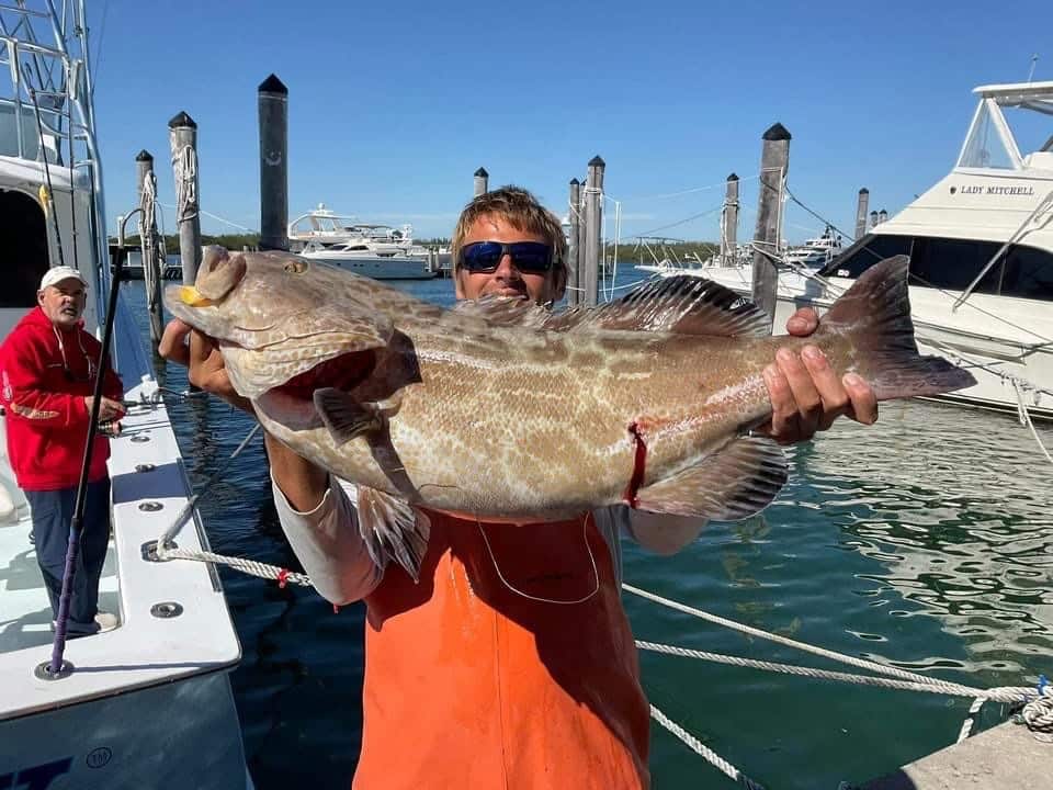 Grouper Fishing in Miami